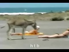 পুরাতন লেসবিয়ান বৃদ্ধা আছে ছামা চোদাচুদি মজা সঙ্গে লিঙ্গ খেলনা